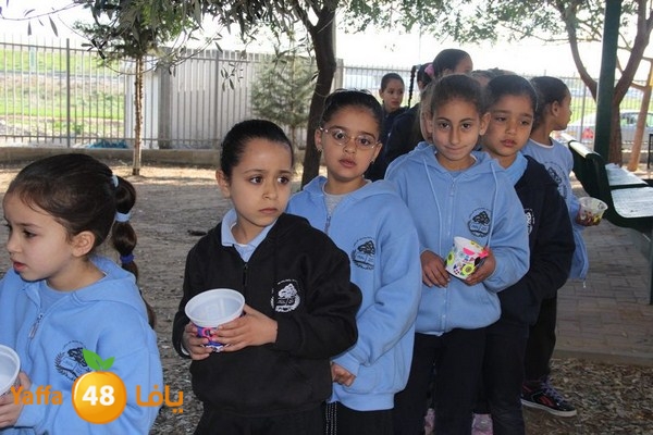 rashidiya 0212 (2).JPG